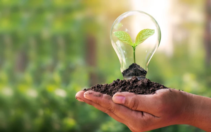 Preliminary Environmental Screening